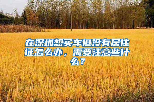 在深圳想买车但没有居住证怎么办，需要注意些什么？