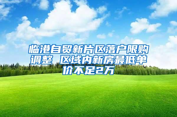 临港自贸新片区落户限购调整 区域内新房最低单价不足2万