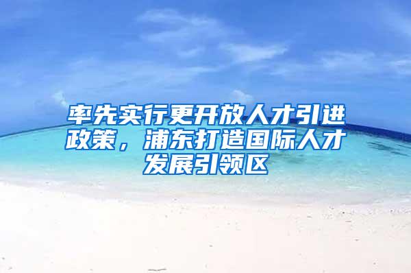 率先实行更开放人才引进政策，浦东打造国际人才发展引领区