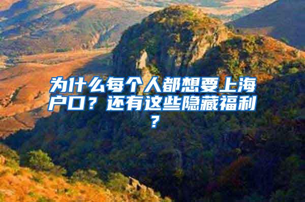 为什么每个人都想要上海户口？还有这些隐藏福利？