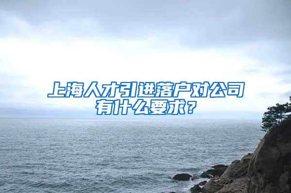 上海人才引进落户对公司有什么要求？