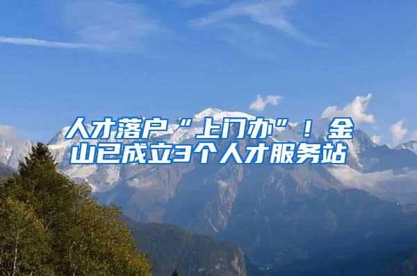 人才落户“上门办”！金山已成立3个人才服务站