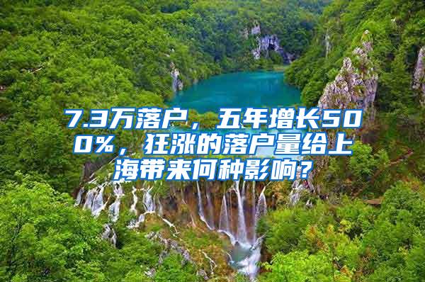 7.3万落户，五年增长500%，狂涨的落户量给上海带来何种影响？