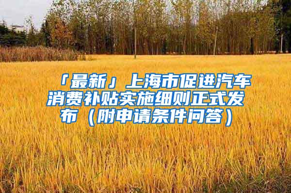 「最新」上海市促进汽车消费补贴实施细则正式发布（附申请条件问答）