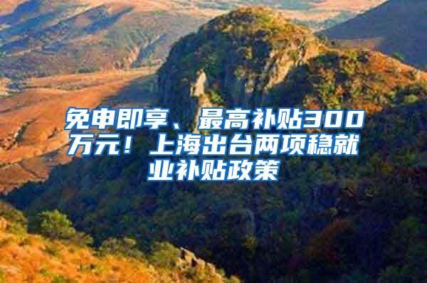 免申即享、最高补贴300万元！上海出台两项稳就业补贴政策