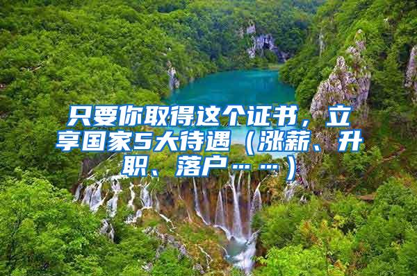 只要你取得这个证书，立享国家5大待遇（涨薪、升职、落户……）