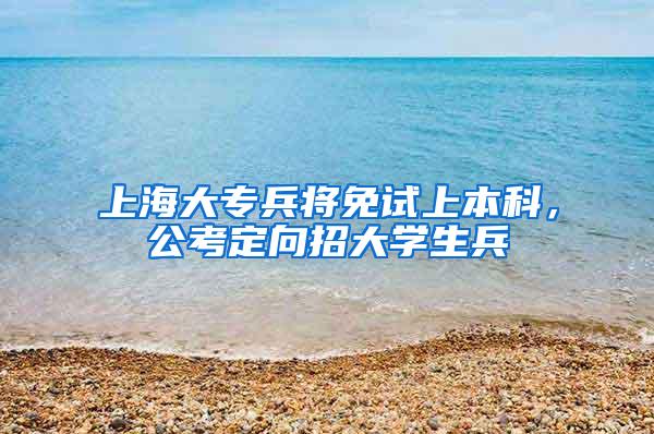 上海大专兵将免试上本科，公考定向招大学生兵