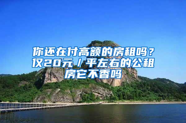 你还在付高额的房租吗？仅20元／平左右的公租房它不香吗