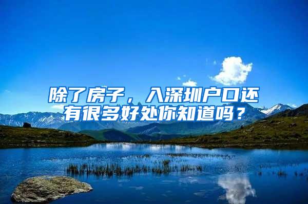 除了房子，入深圳户口还有很多好处你知道吗？