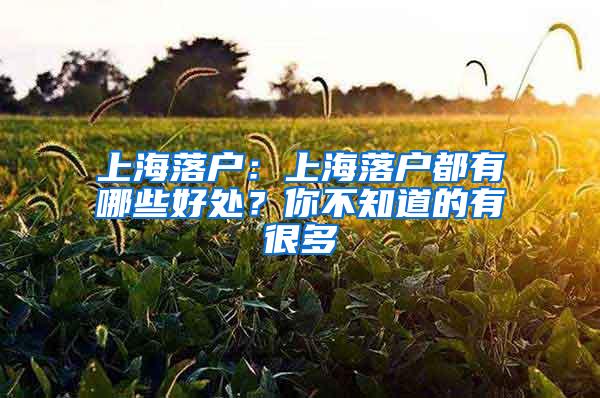 上海落户：上海落户都有哪些好处？你不知道的有很多