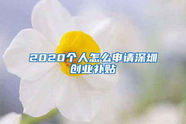 2020个人怎么申请深圳创业补贴