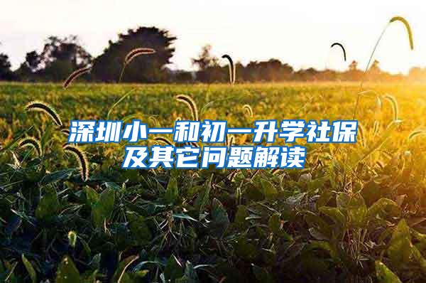 深圳小一和初一升学社保及其它问题解读