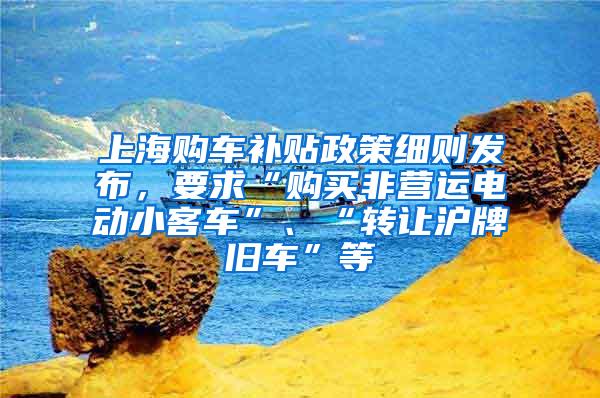 上海购车补贴政策细则发布，要求“购买非营运电动小客车”、“转让沪牌旧车”等