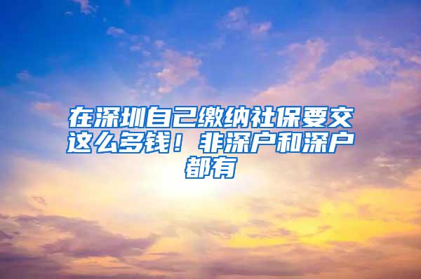 在深圳自己缴纳社保要交这么多钱！非深户和深户都有