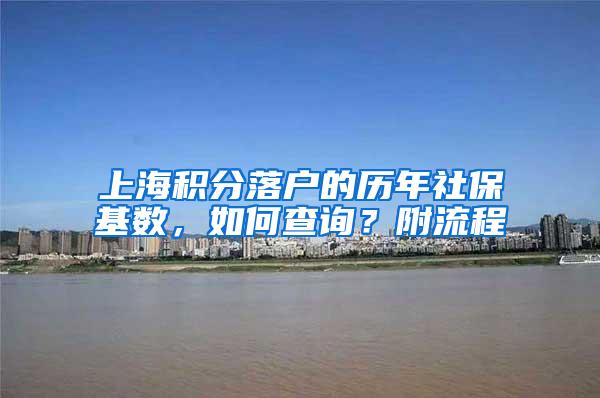 上海积分落户的历年社保基数，如何查询？附流程