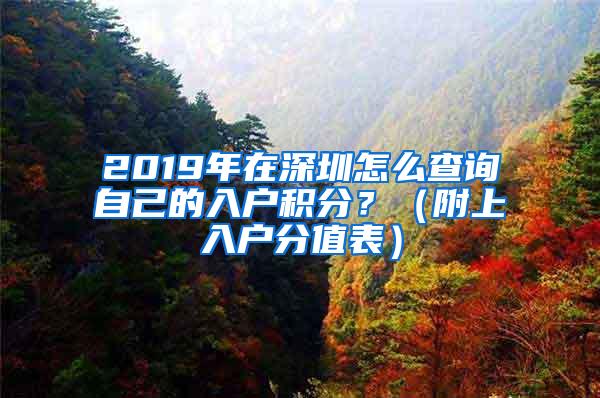 2019年在深圳怎么查询自己的入户积分？（附上入户分值表）