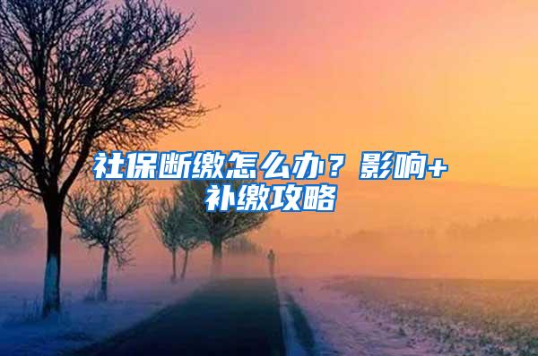 社保断缴怎么办？影响+补缴攻略