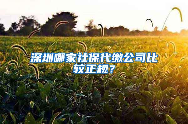 深圳哪家社保代缴公司比较正规？