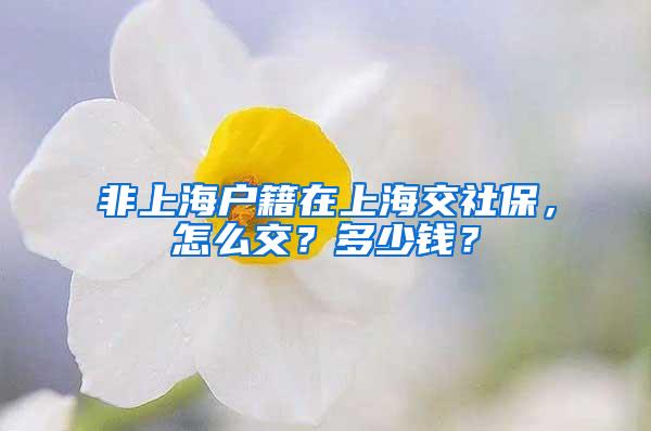 非上海户籍在上海交社保，怎么交？多少钱？