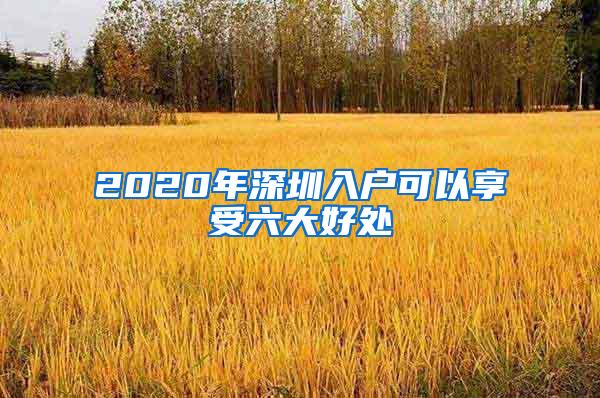 2020年深圳入户可以享受六大好处