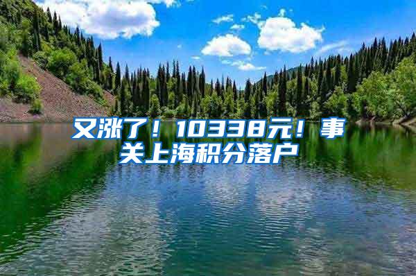 又涨了！10338元！事关上海积分落户