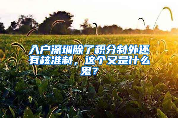 入户深圳除了积分制外还有核准制，这个又是什么鬼？