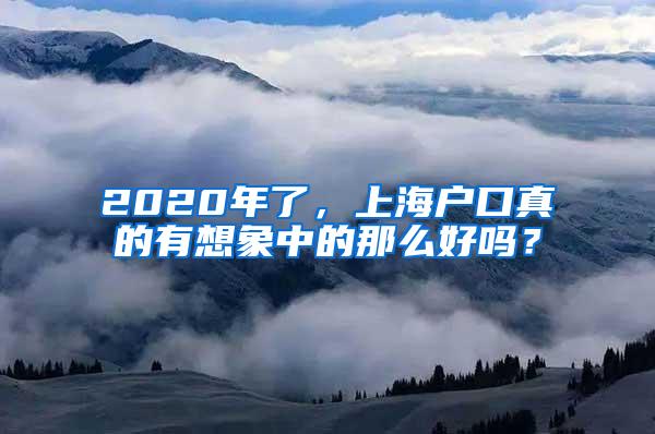 2020年了，上海户口真的有想象中的那么好吗？