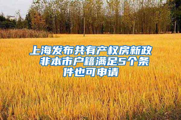 上海发布共有产权房新政 非本市户籍满足5个条件也可申请