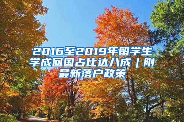 2016至2019年留学生学成回国占比达八成︱附最新落户政策