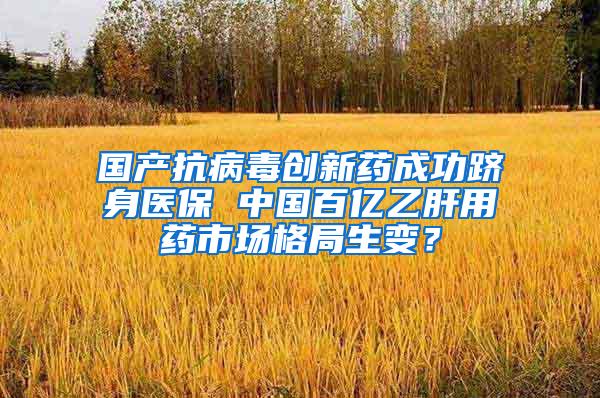 国产抗病毒创新药成功跻身医保 中国百亿乙肝用药市场格局生变？