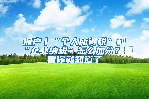 深户丨“个人所得税”和“企业纳税”怎么加分？看看你就知道了