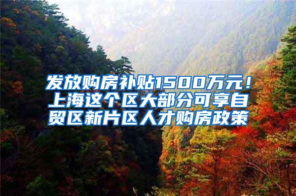 发放购房补贴1500万元！上海这个区大部分可享自贸区新片区人才购房政策