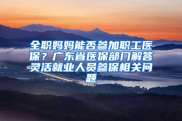 全职妈妈能否参加职工医保？广东省医保部门解答灵活就业人员参保相关问题