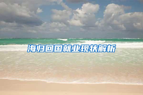 海归回国就业现状解析