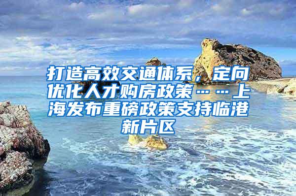 打造高效交通体系，定向优化人才购房政策……上海发布重磅政策支持临港新片区