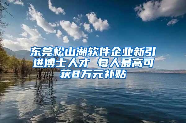 东莞松山湖软件企业新引进博士人才 每人最高可获8万元补贴