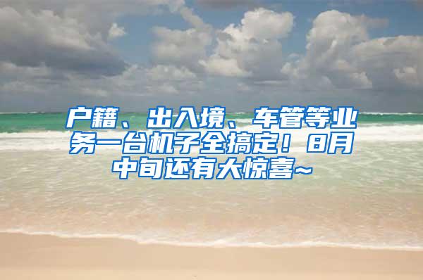 户籍、出入境、车管等业务一台机子全搞定！8月中旬还有大惊喜~