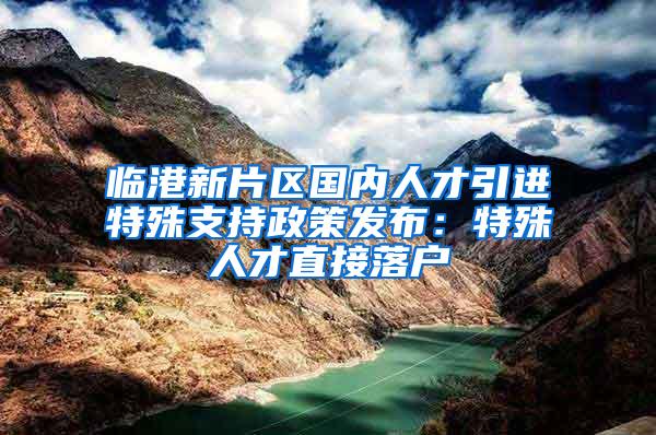 临港新片区国内人才引进特殊支持政策发布：特殊人才直接落户