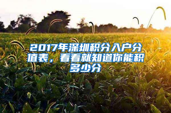 2017年深圳积分入户分值表，看看就知道你能积多少分