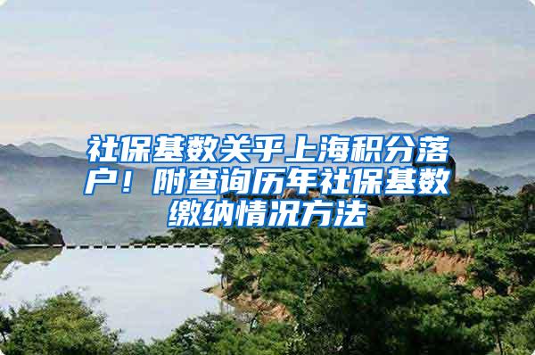 社保基数关乎上海积分落户！附查询历年社保基数缴纳情况方法