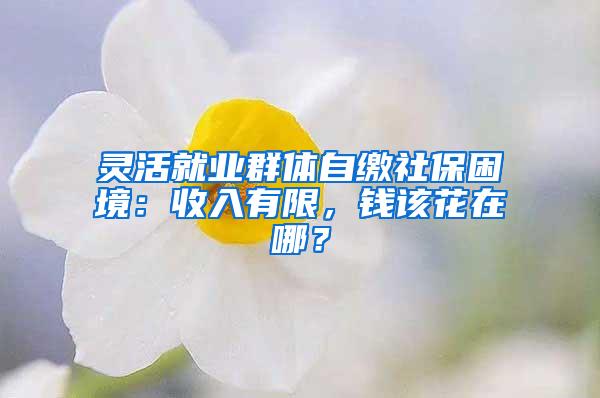 灵活就业群体自缴社保困境：收入有限，钱该花在哪？