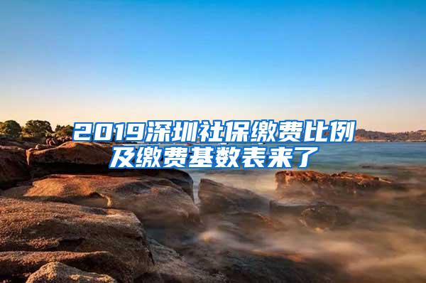 2019深圳社保缴费比例及缴费基数表来了