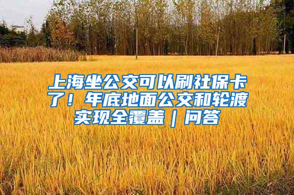 上海坐公交可以刷社保卡了！年底地面公交和轮渡实现全覆盖｜问答