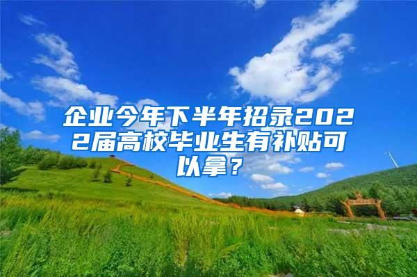 企业今年下半年招录2022届高校毕业生有补贴可以拿？