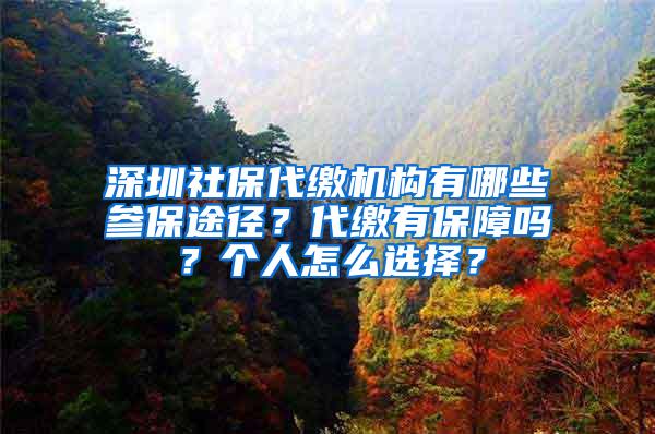 深圳社保代缴机构有哪些参保途径？代缴有保障吗？个人怎么选择？