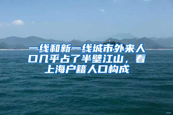 一线和新一线城市外来人口几乎占了半壁江山，看上海户籍人口构成