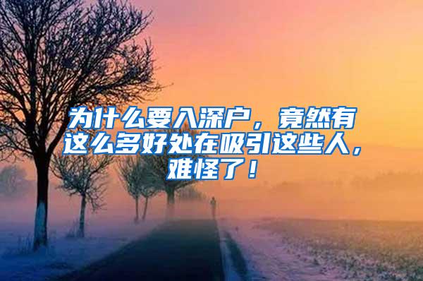 为什么要入深户，竟然有这么多好处在吸引这些人，难怪了！