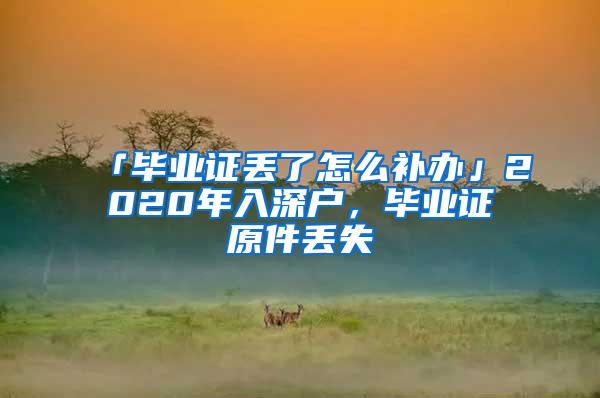 「毕业证丢了怎么补办」2020年入深户，毕业证原件丢失