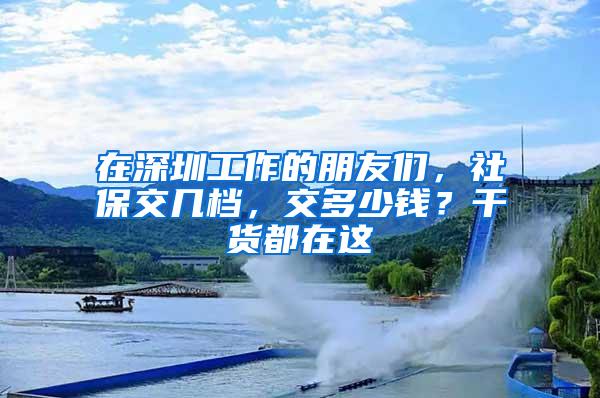 在深圳工作的朋友们，社保交几档，交多少钱？干货都在这