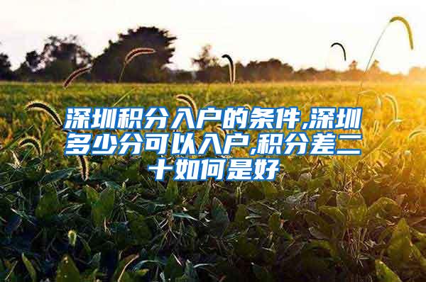 深圳积分入户的条件,深圳多少分可以入户,积分差二十如何是好